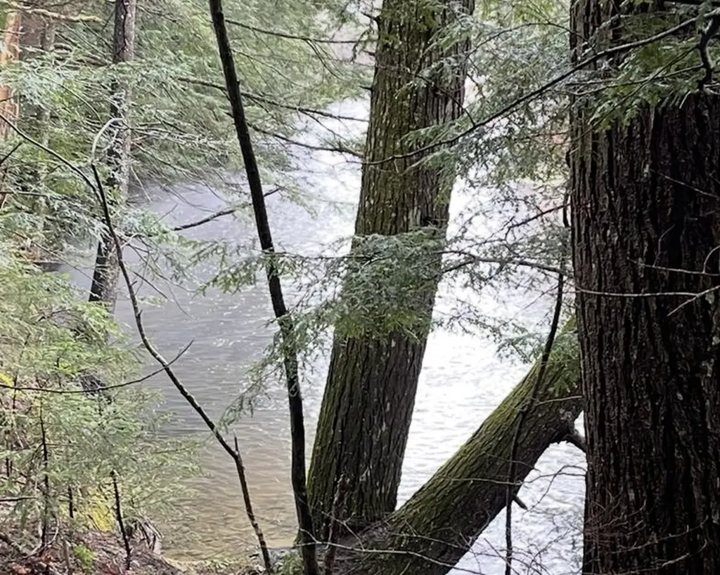 192 Pingree Park Lane Londonderry VT 05148