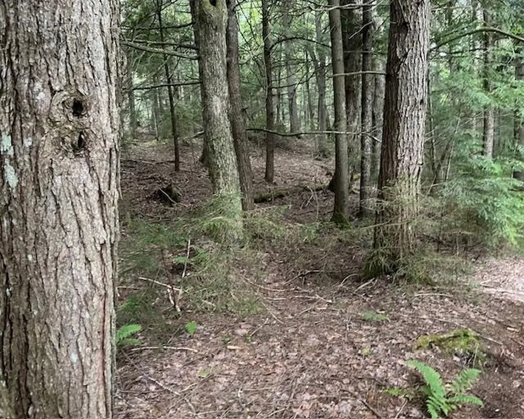 192 Pingree Park Lane Londonderry VT 05148