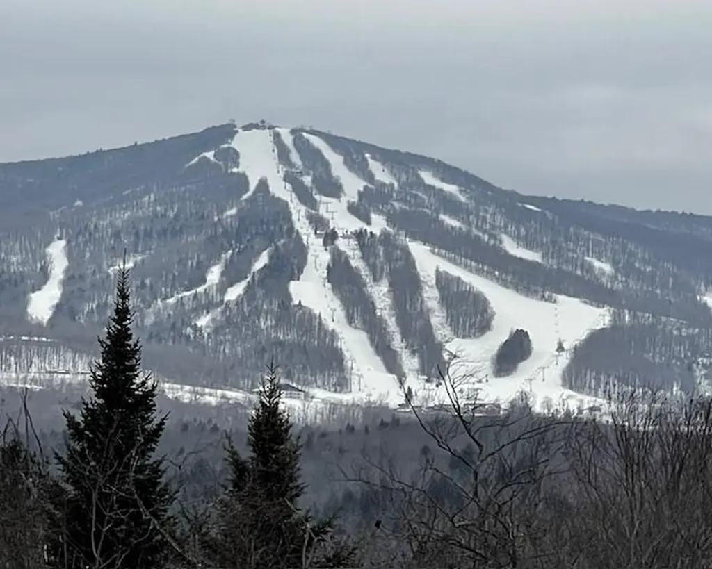 192 Pingree Park Lane Londonderry VT 05148