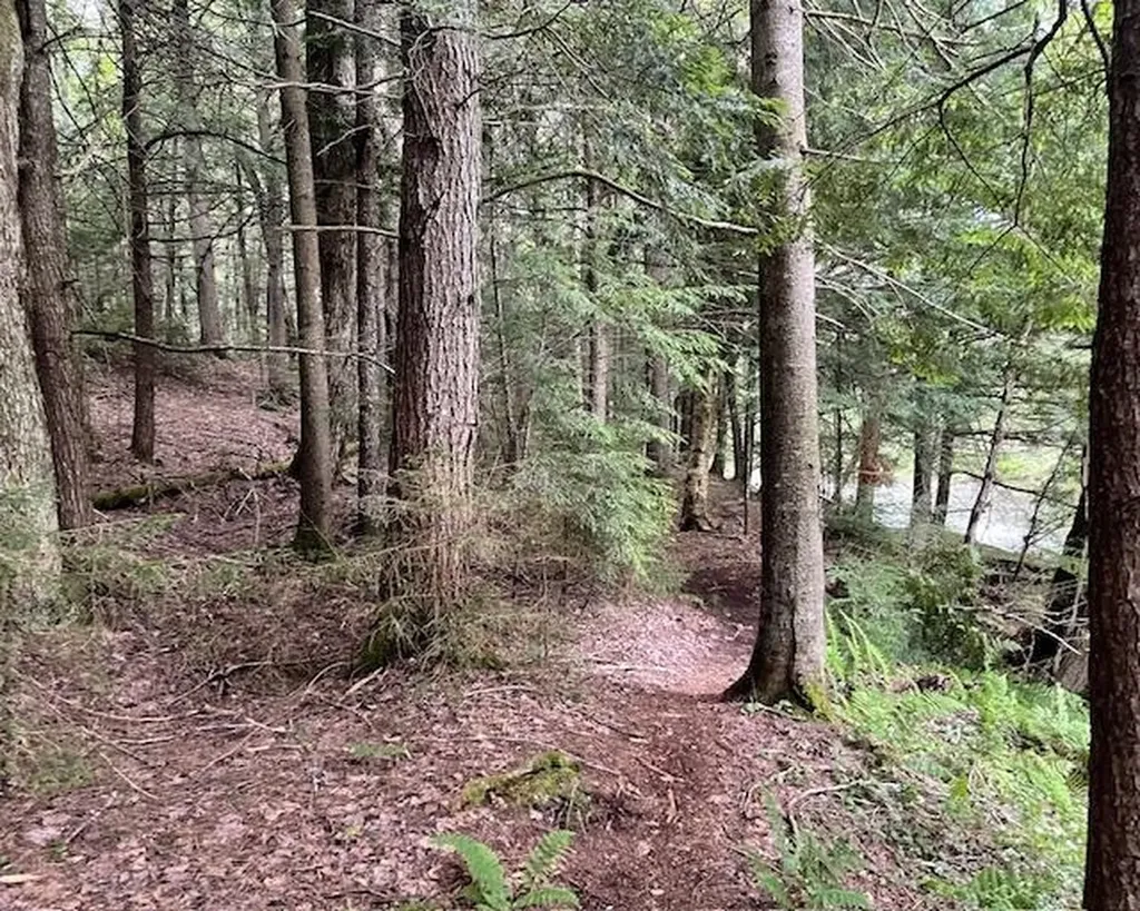 192 Pingree Park Lane Londonderry VT 05148