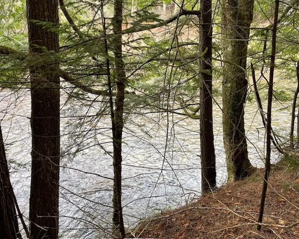 192 Pingree Park Lane Londonderry VT 05148