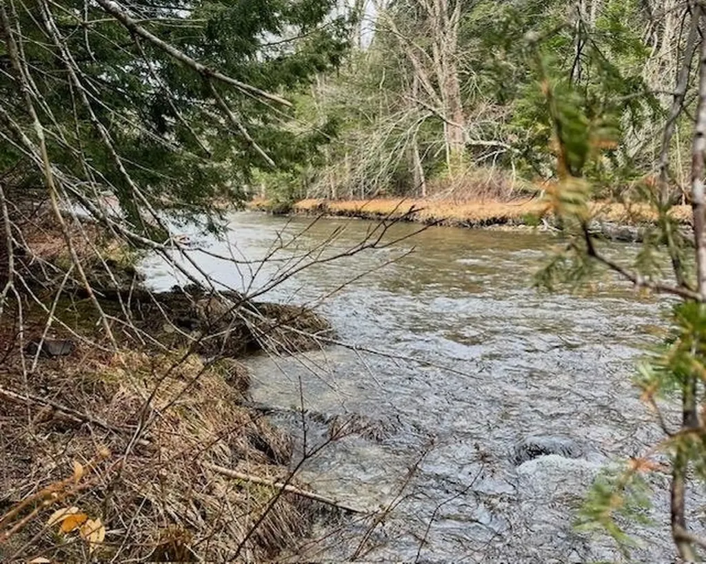 192 Pingree Park Lane Londonderry VT 05148