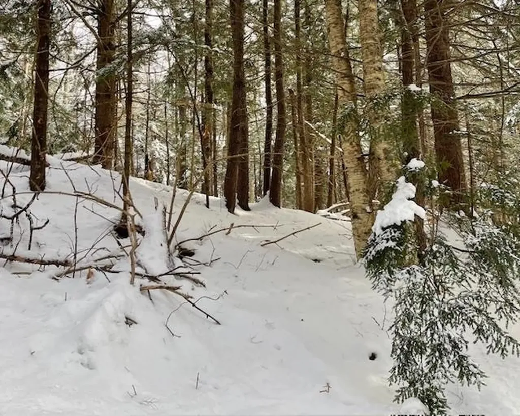 192 Pingree Park Lane Londonderry VT 05148