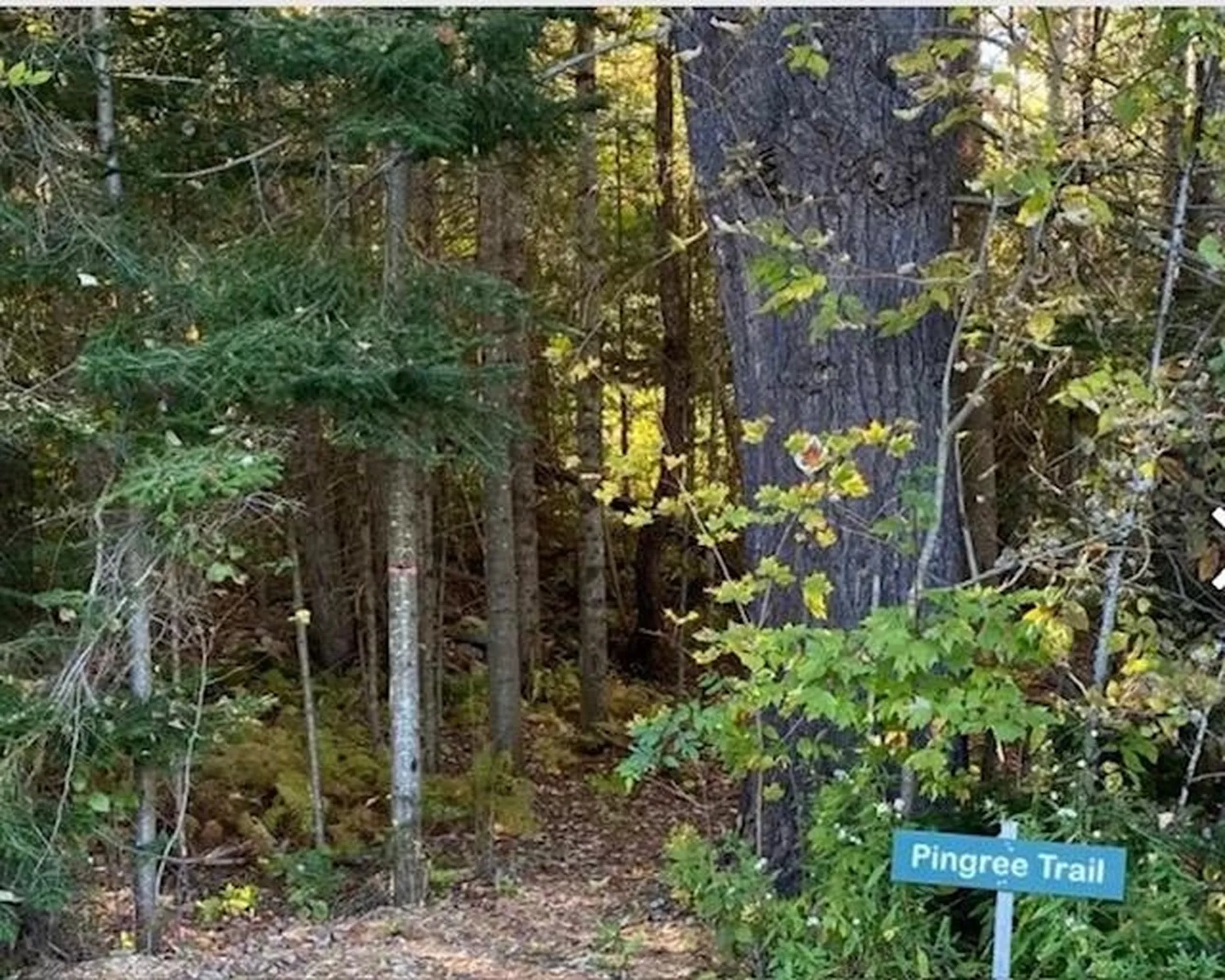 192 Pingree Park Lane Londonderry VT 05148