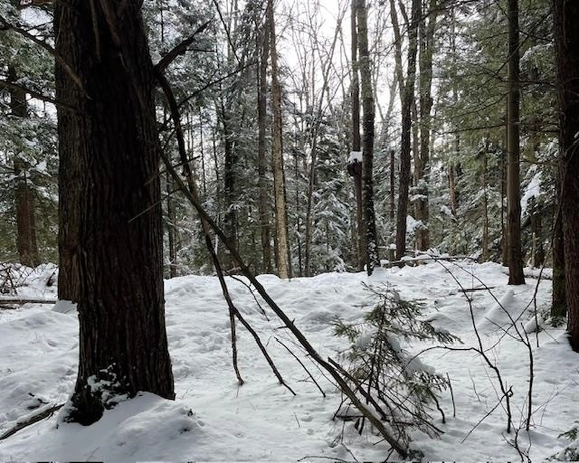 192 Pingree Park Lane Londonderry VT 05148