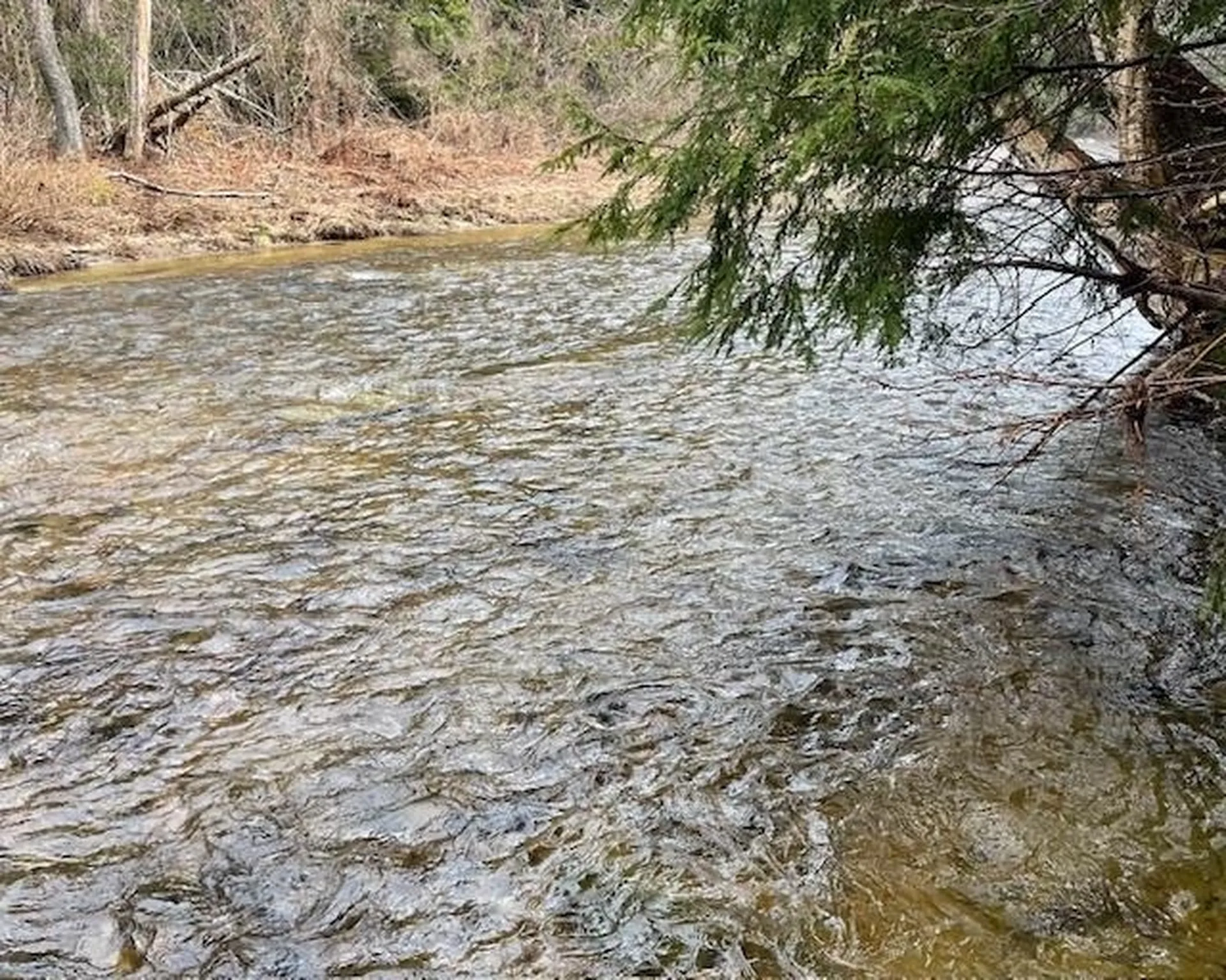 192 Pingree Park Lane Londonderry VT 05148