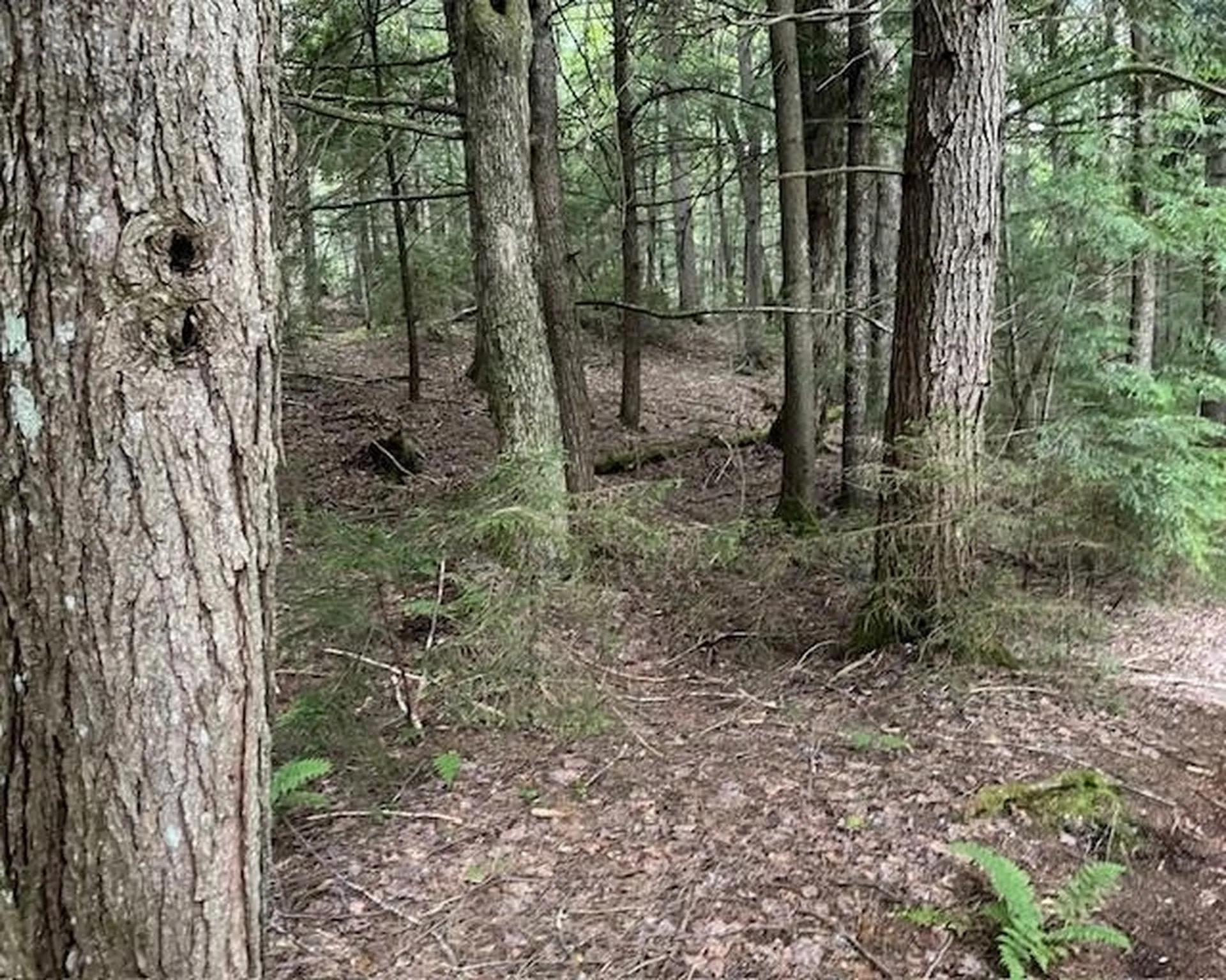 192 Pingree Park Lane Londonderry VT 05148