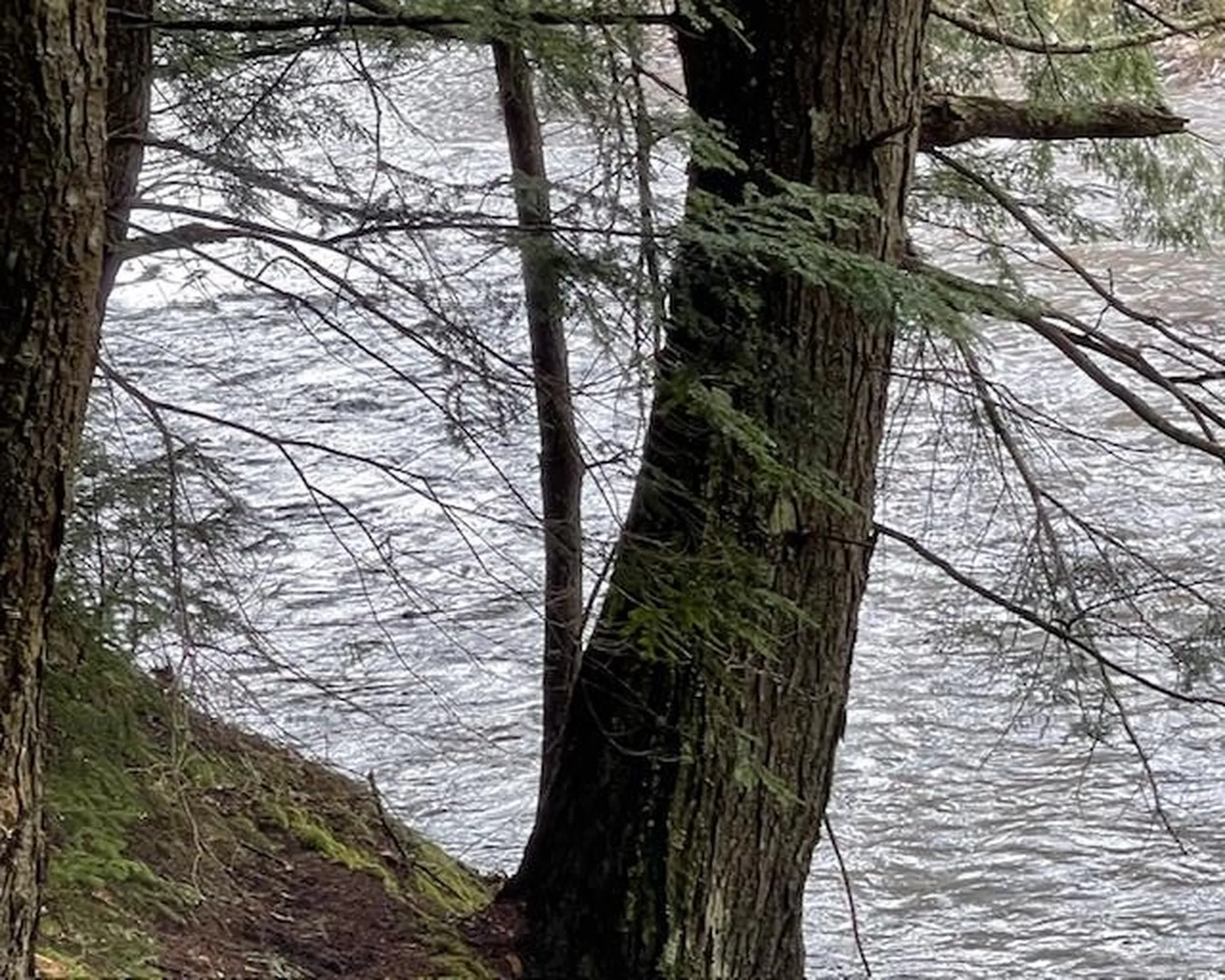 192 Pingree Park Lane Londonderry VT 05148