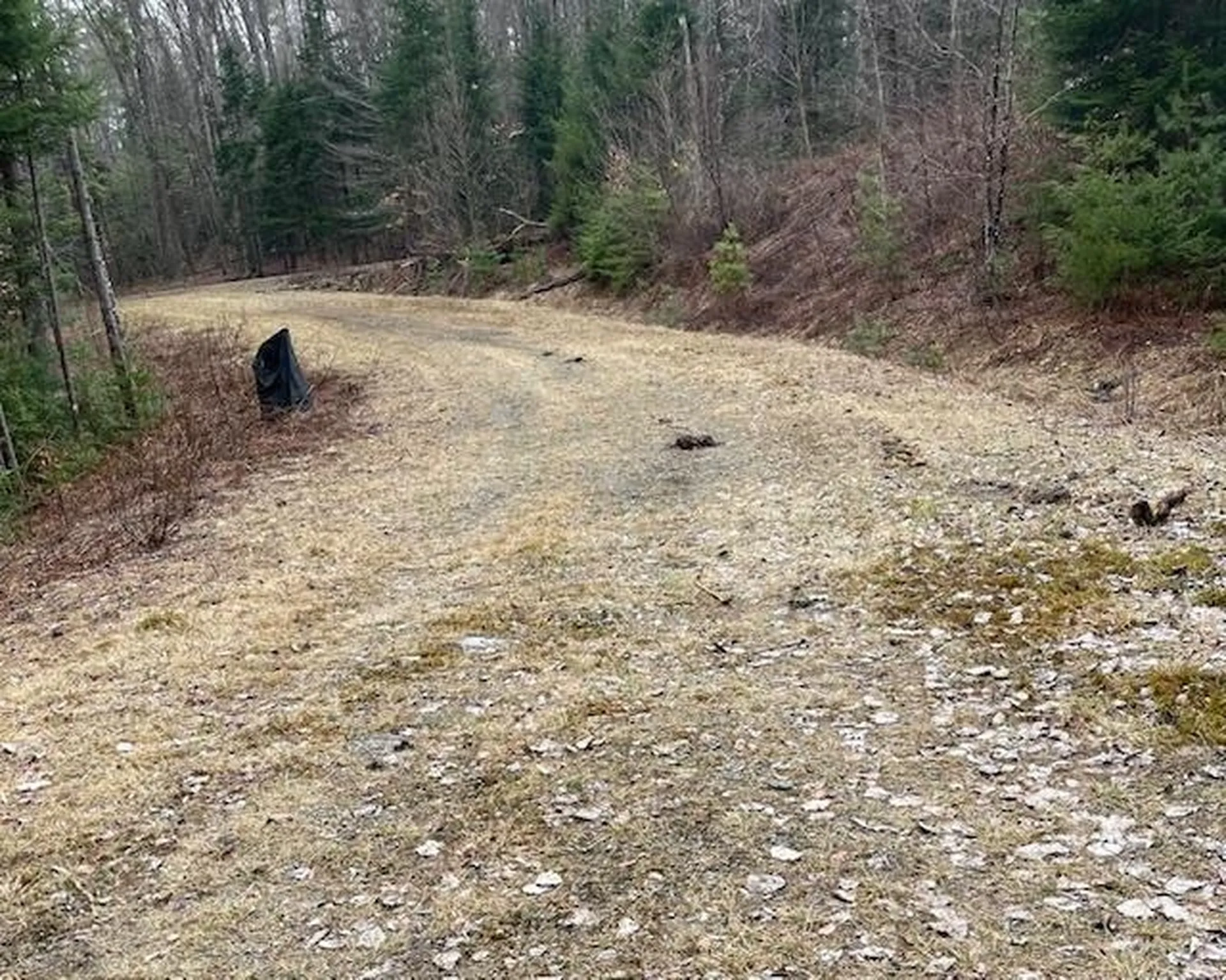 192 Pingree Park Lane Londonderry VT 05148