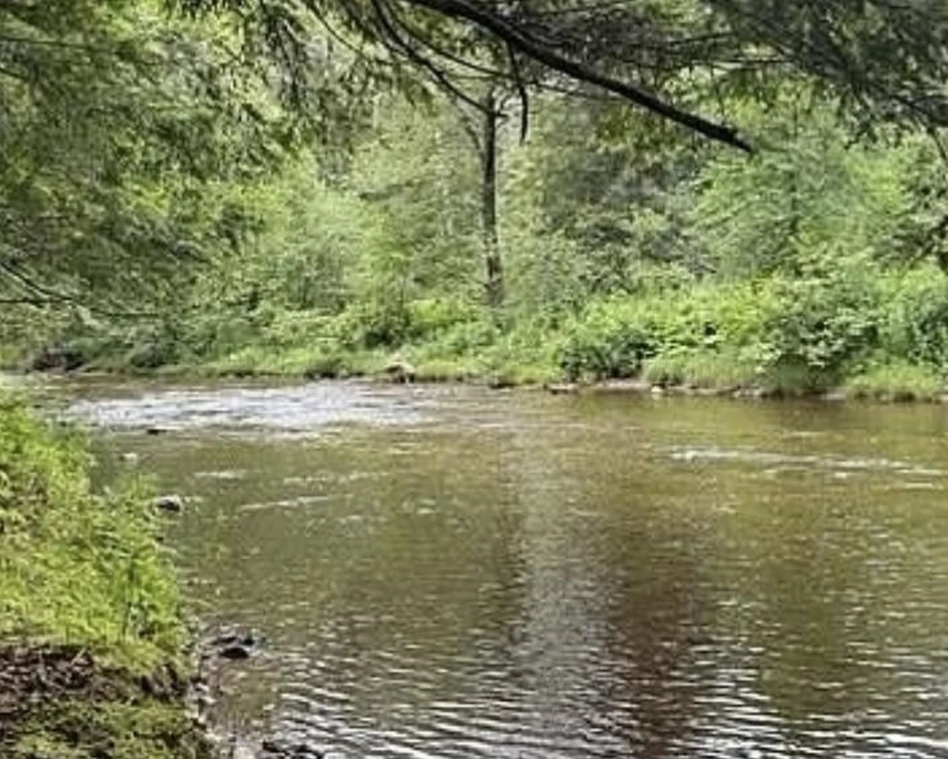 192 Pingree Park Lane Londonderry VT 05148