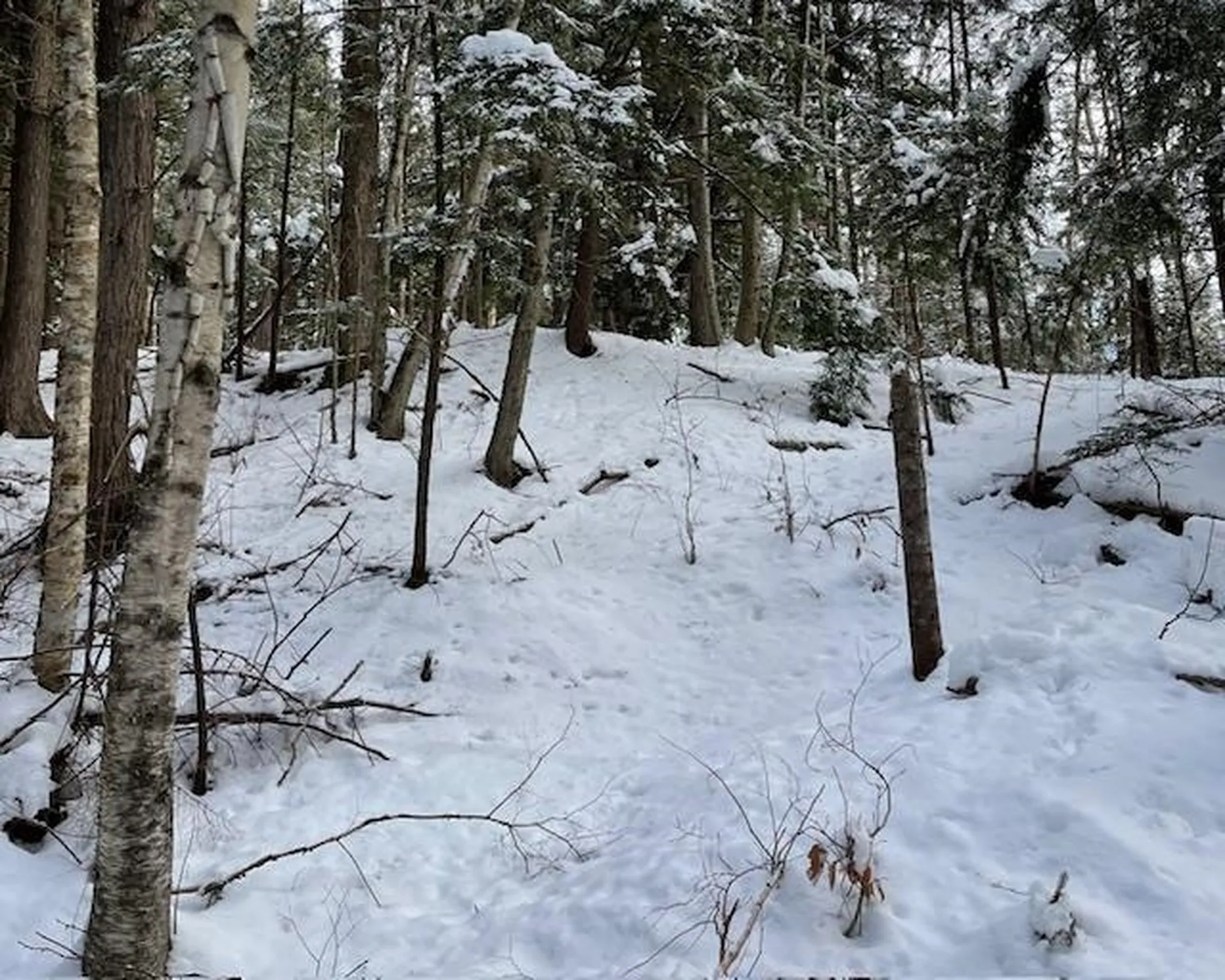 192 Pingree Park Lane Londonderry VT 05148