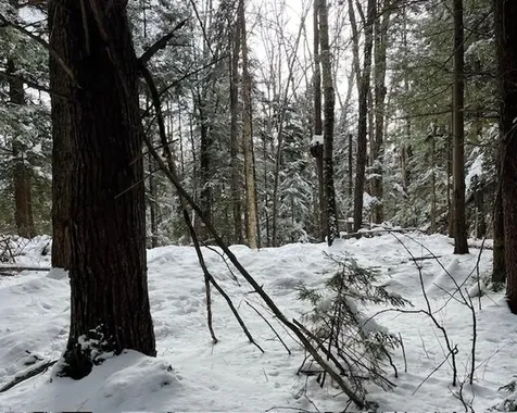 192 Pingree Park Lane Londonderry VT 05148