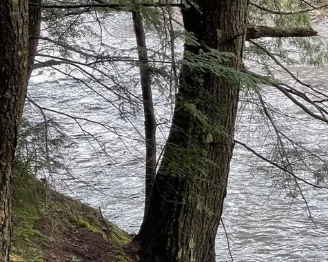 192 Pingree Park Lane Londonderry VT 05148