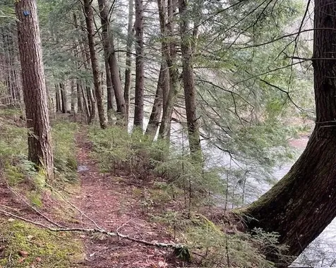 192 Pingree Park Lane Londonderry VT 05148