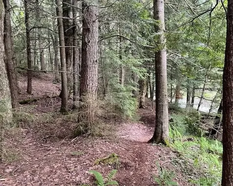 192 Pingree Park Lane Londonderry VT 05148