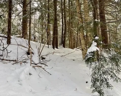 192 Pingree Park Lane Londonderry VT 05148