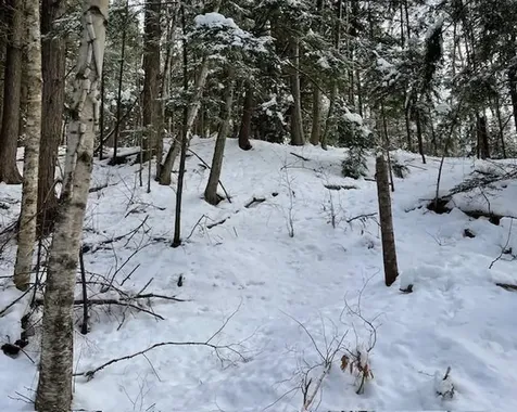 192 Pingree Park Lane Londonderry VT 05148