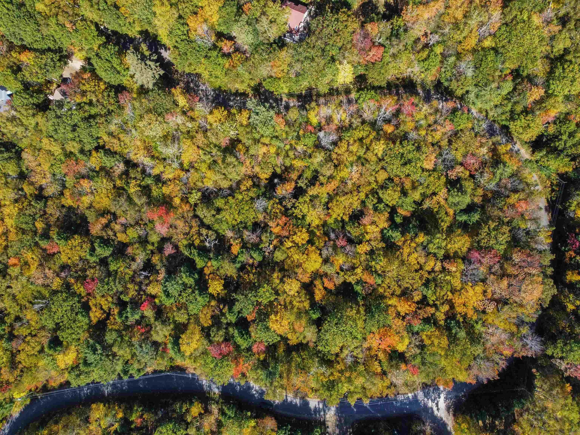 137 Reservoir Road Campton NH 03223