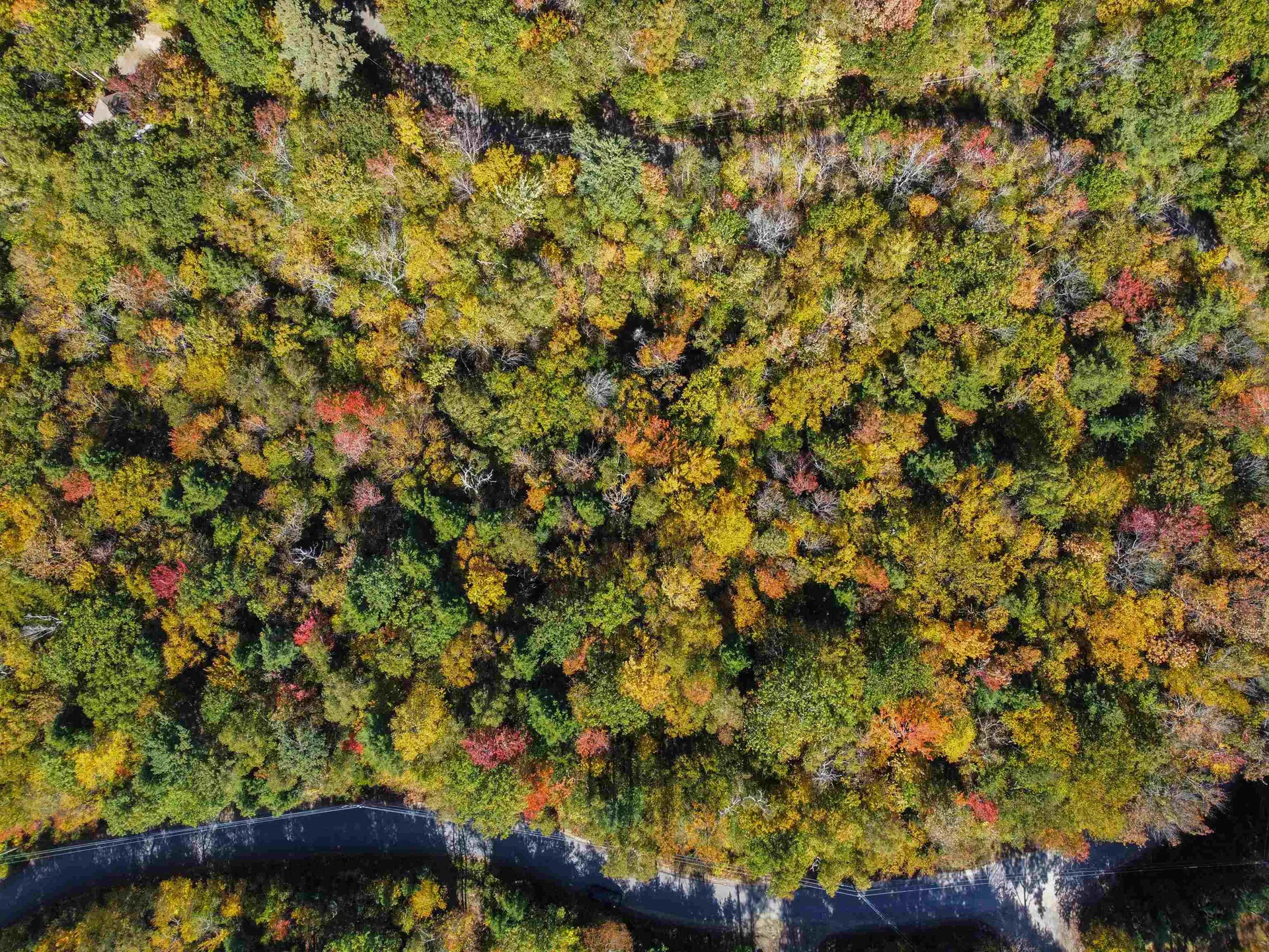 137 Reservoir Road Campton NH 03223