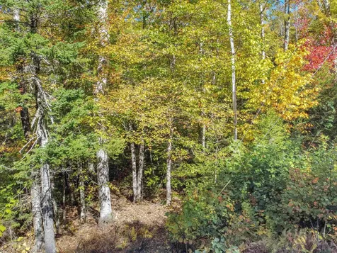 137 Reservoir Road Campton NH 03223