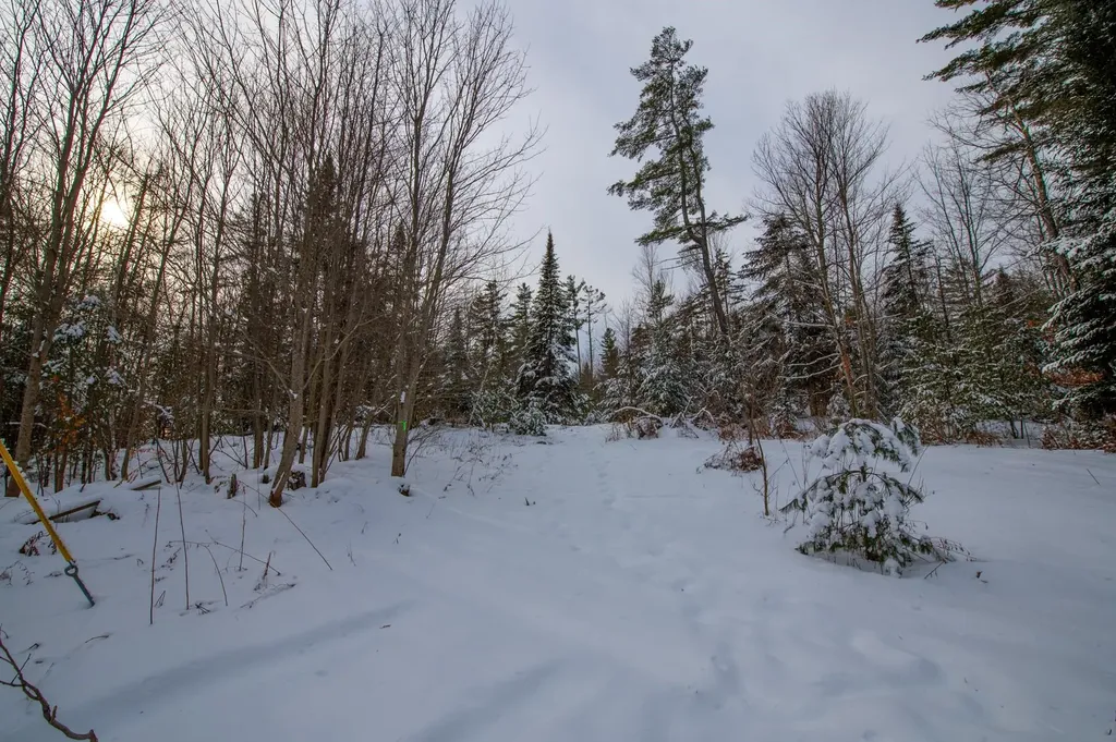 0 Vt Route 100 Londonderry VT 05148