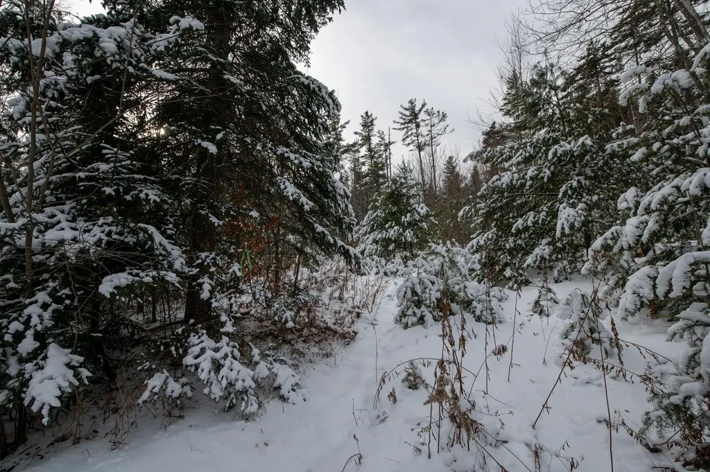 0 Vt Route 100 Londonderry VT 05148