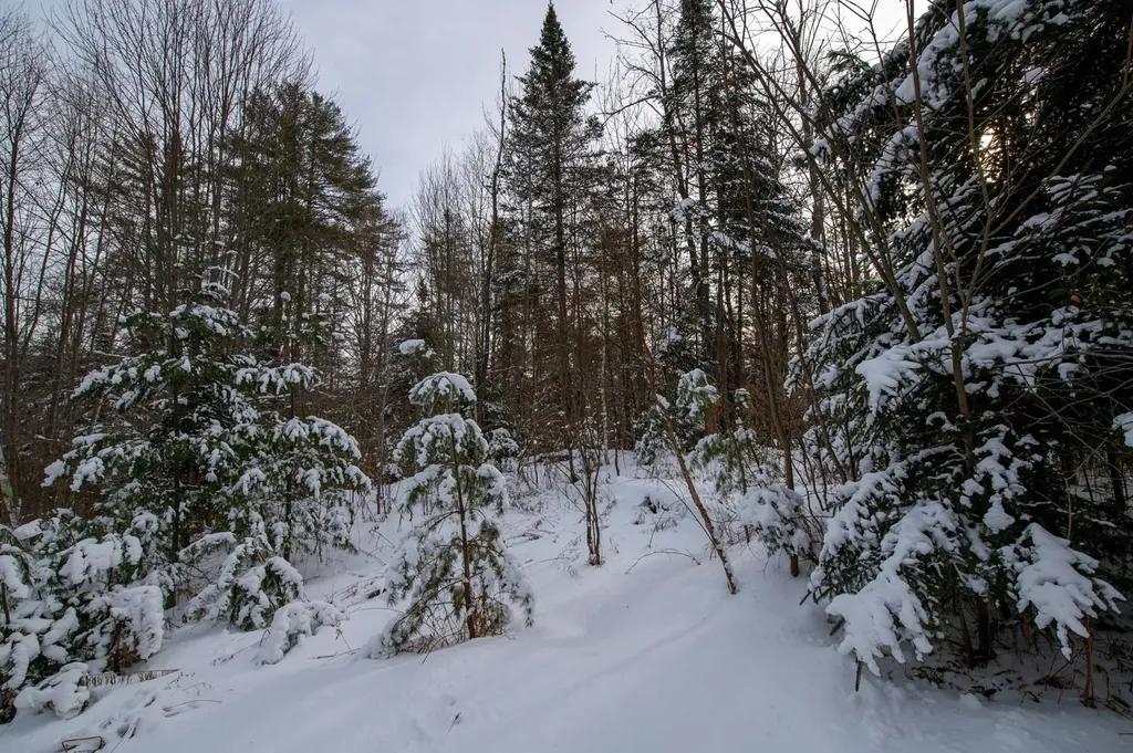 0 Vt Route 100 Londonderry VT 05148