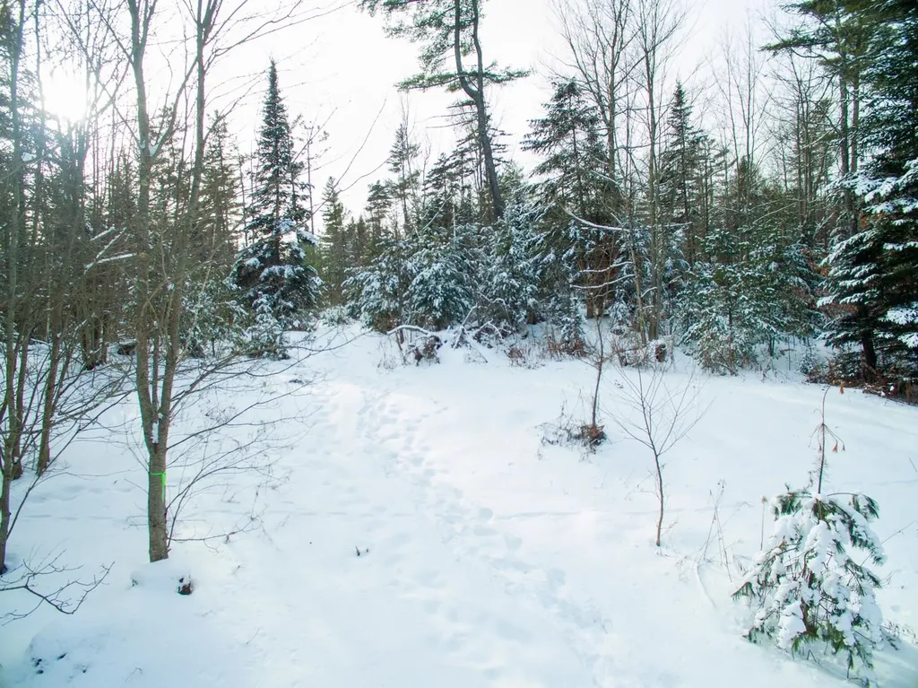 0 Vt Route 100 Londonderry VT 05148