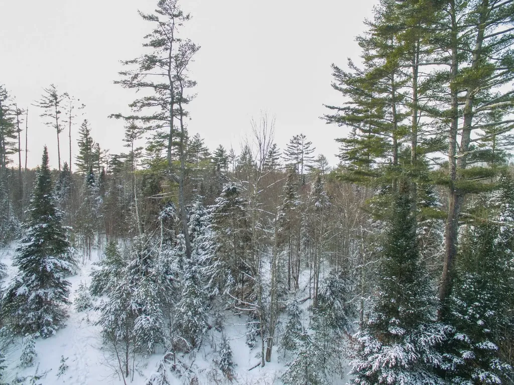 0 Vt Route 100 Londonderry VT 05148