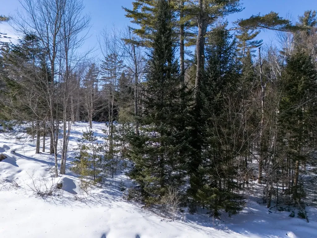 0 Vt Route 100 Londonderry VT 05148