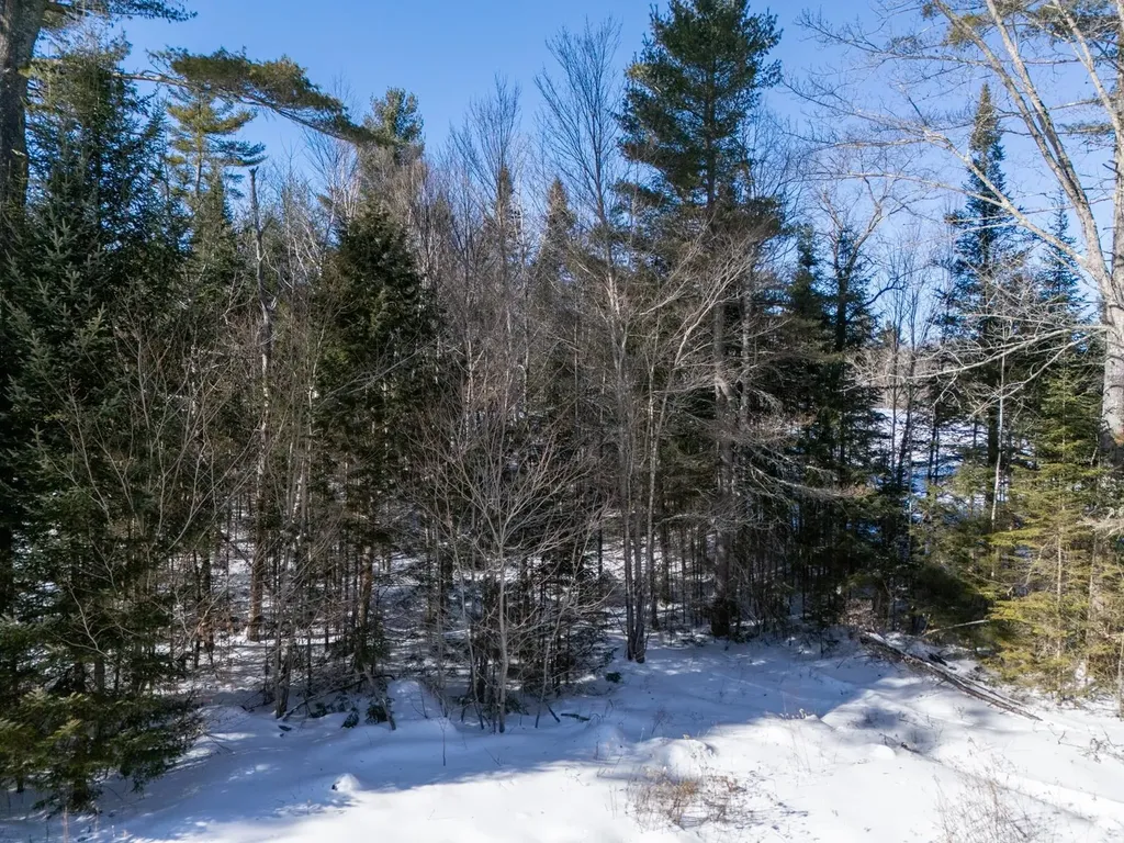 0 Vt Route 100 Londonderry VT 05148