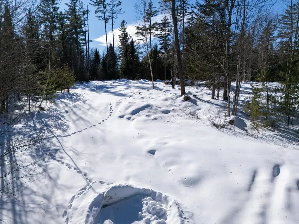 0 Vt Route 100 Londonderry VT 05148