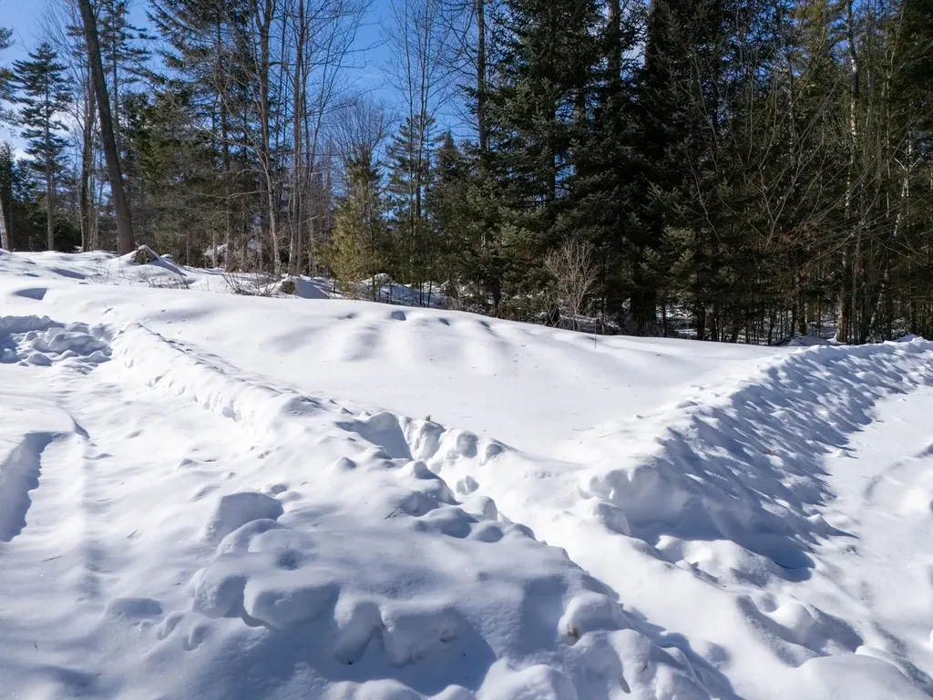 0 Vt Route 100 Londonderry VT 05148