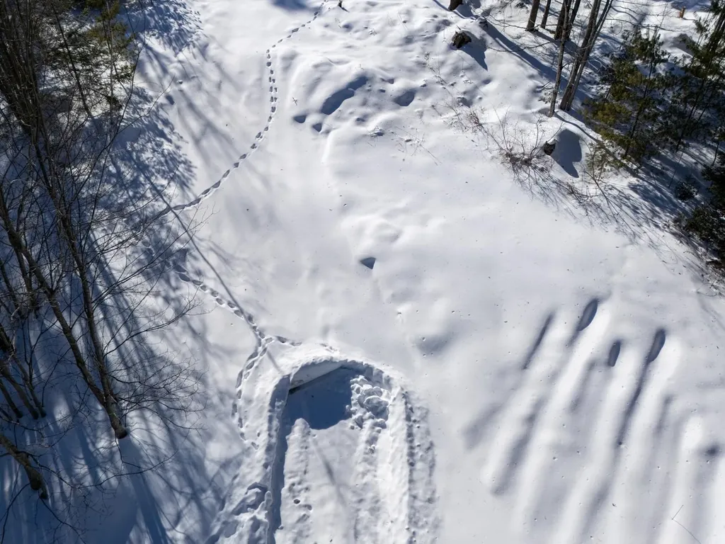 0 Vt Route 100 Londonderry VT 05148