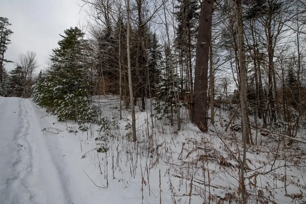 0 Vt Route 100 Londonderry VT 05148