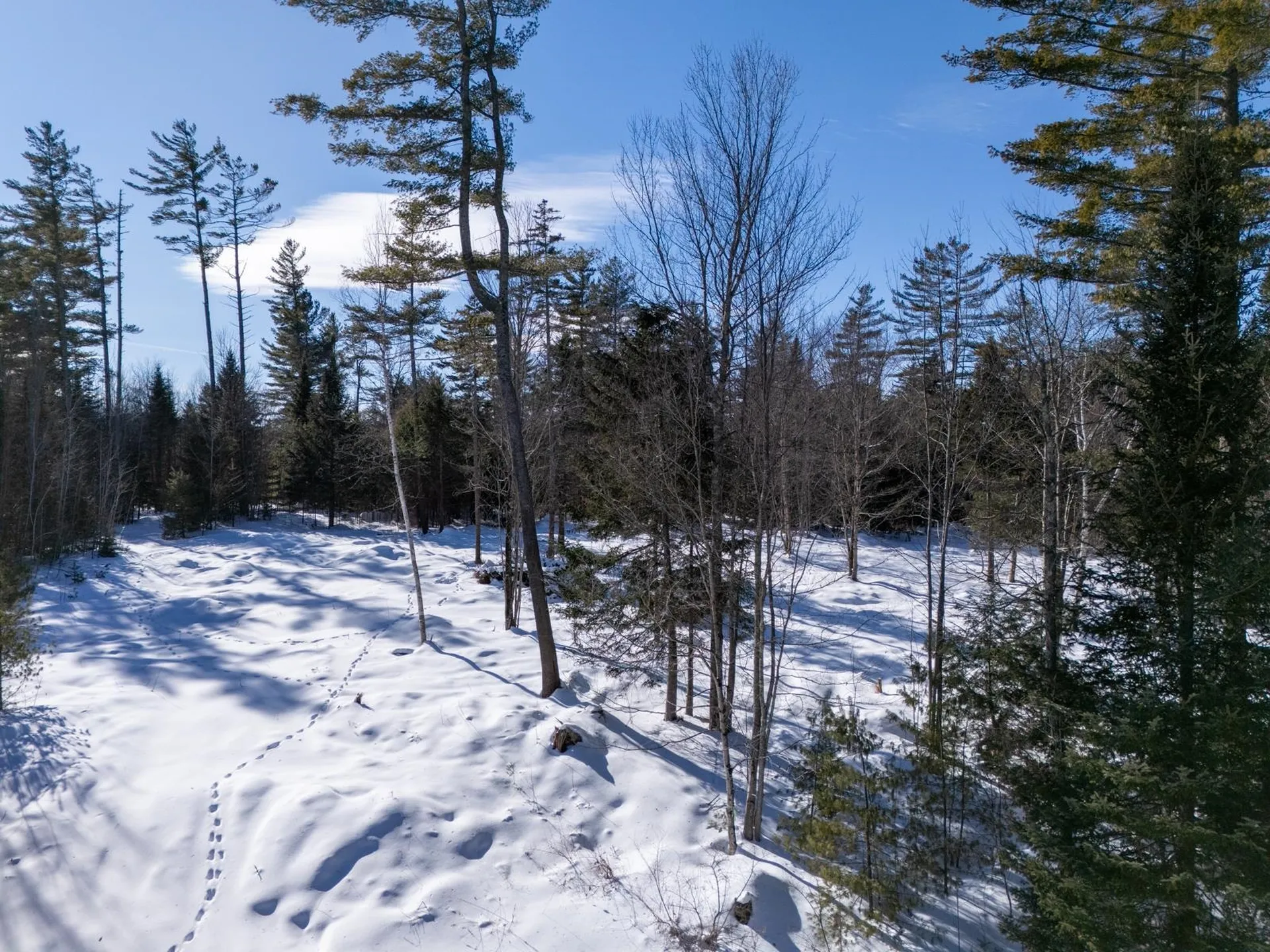 0 Vt Route 100 Londonderry VT 05148