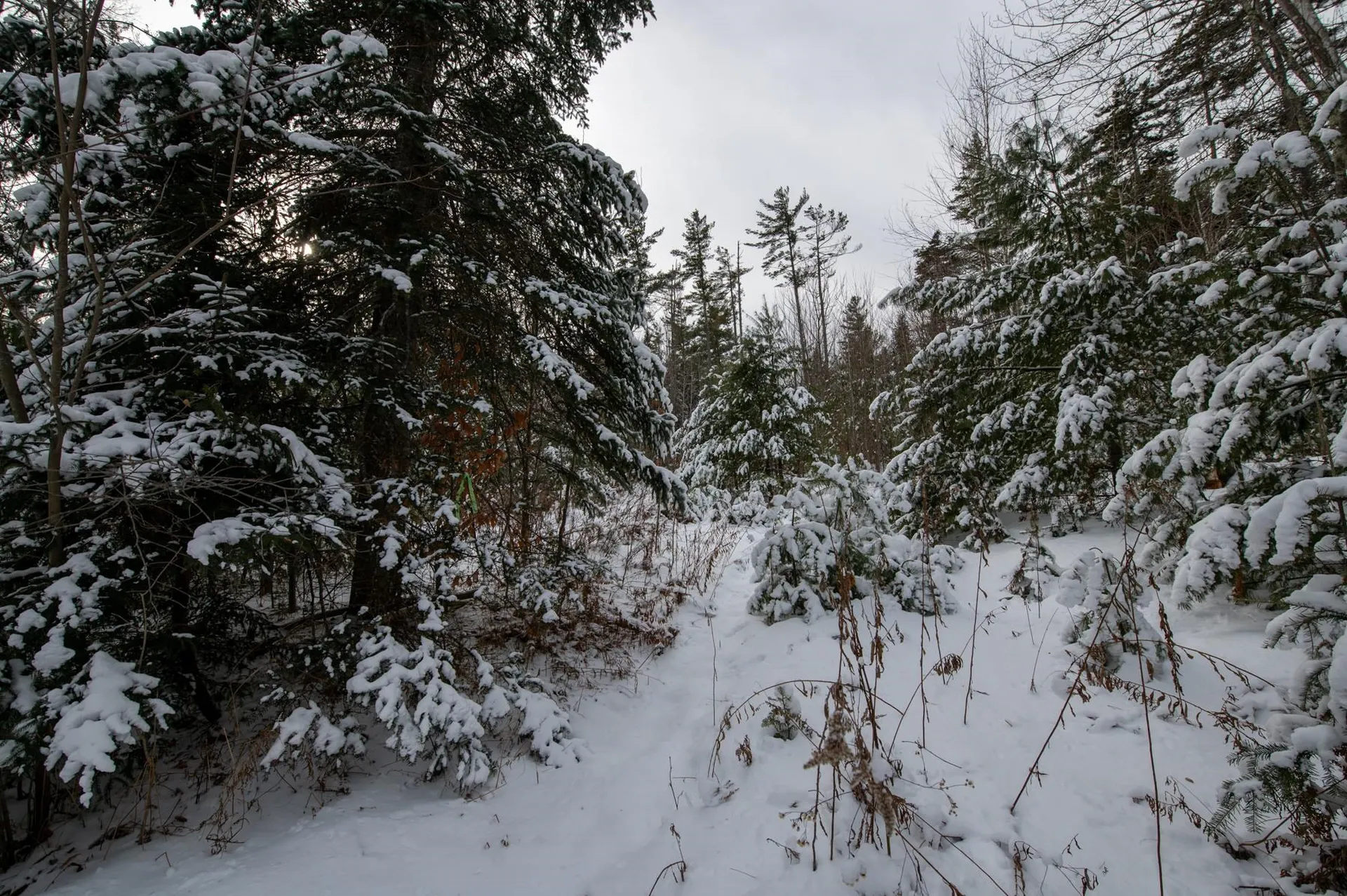 0 Vt Route 100 Londonderry VT 05148