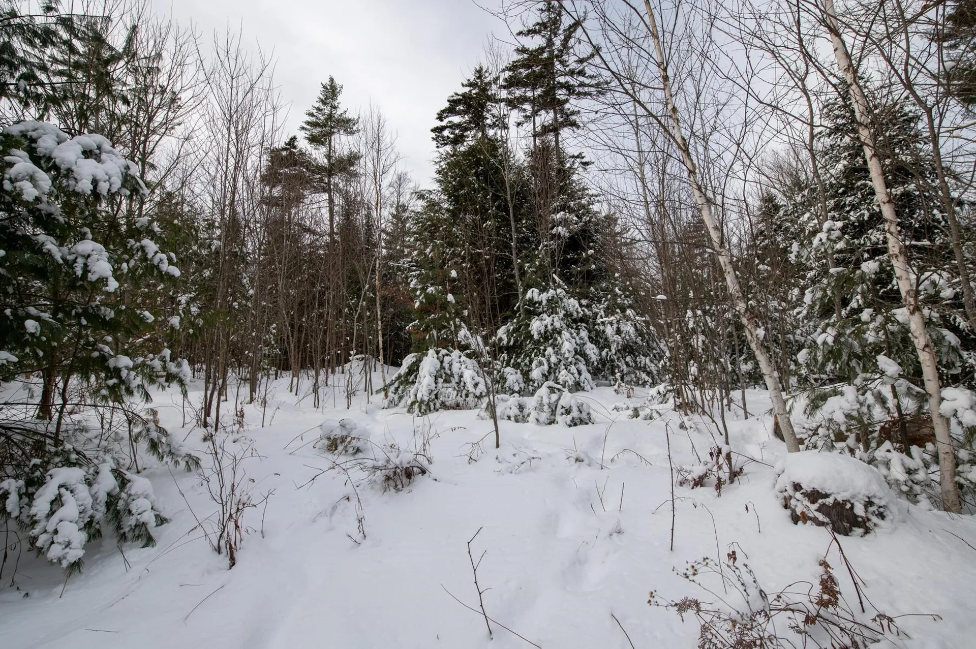 0 Vt Route 100 Londonderry VT 05148