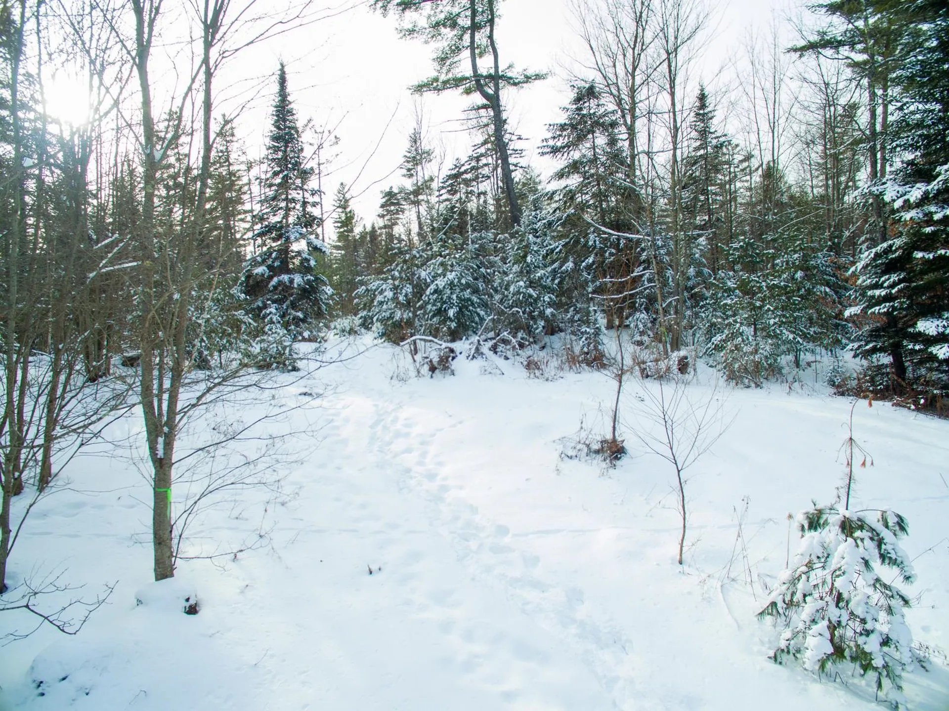 0 Vt Route 100 Londonderry VT 05148