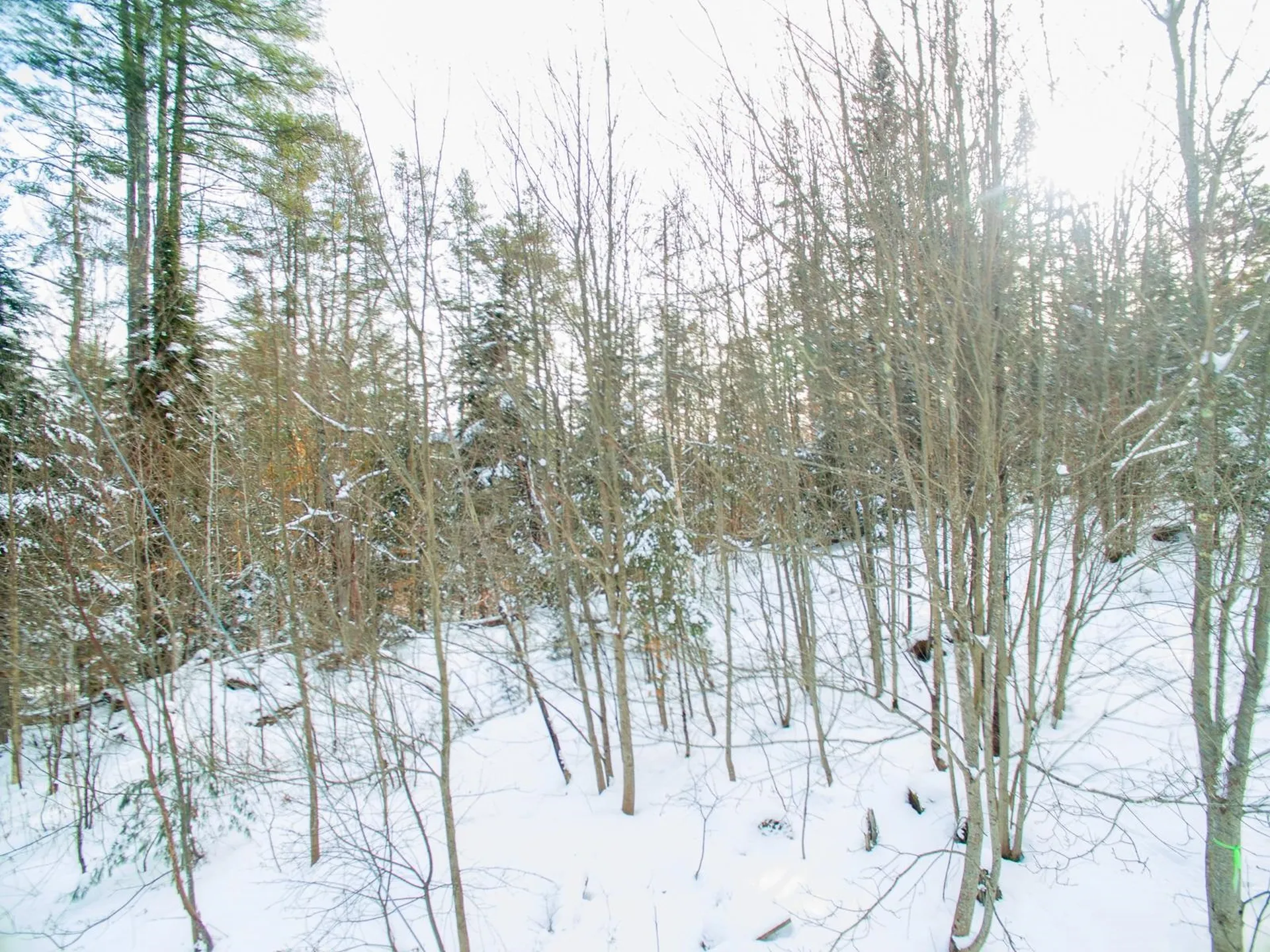 0 Vt Route 100 Londonderry VT 05148