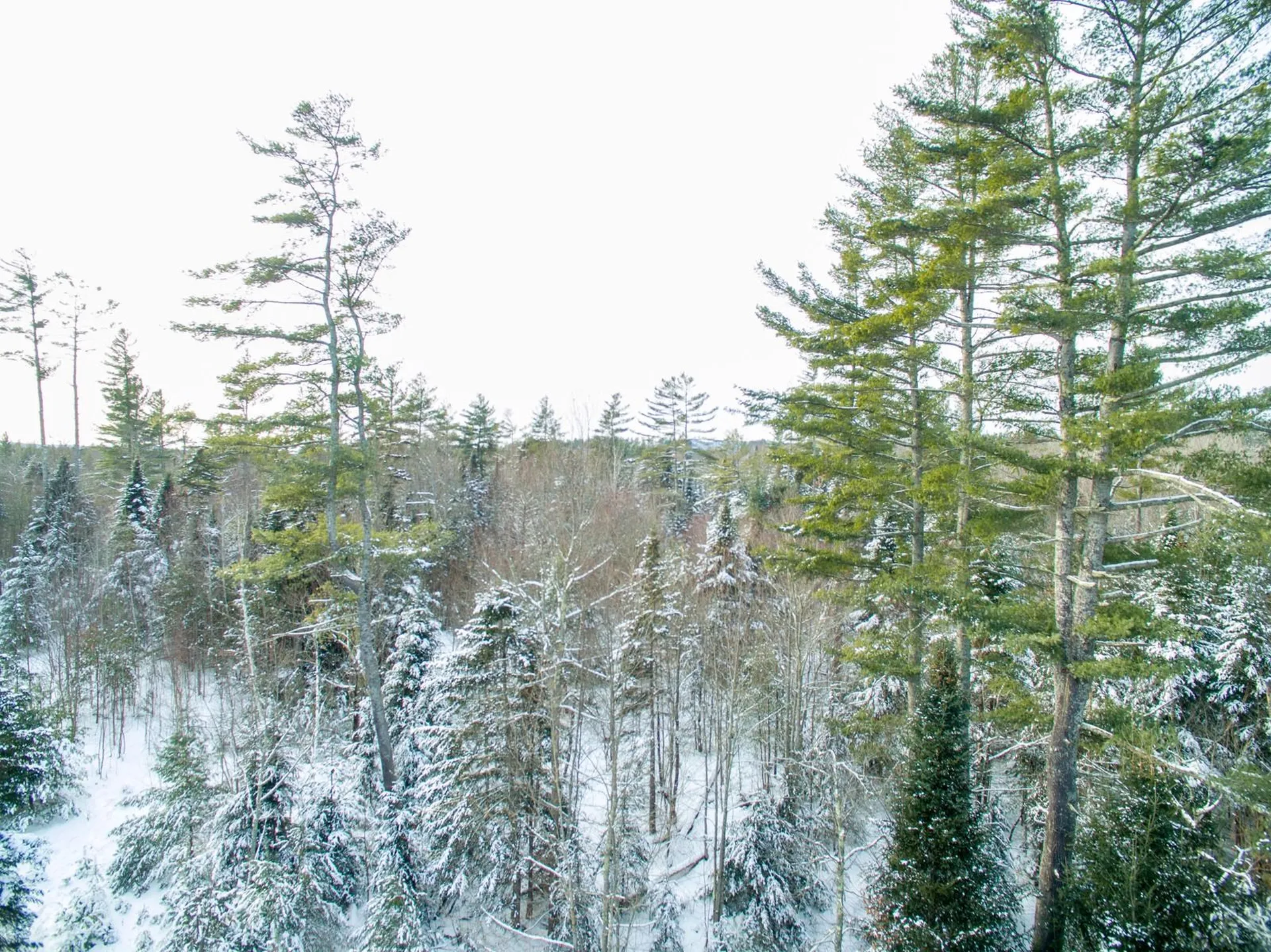 0 Vt Route 100 Londonderry VT 05148