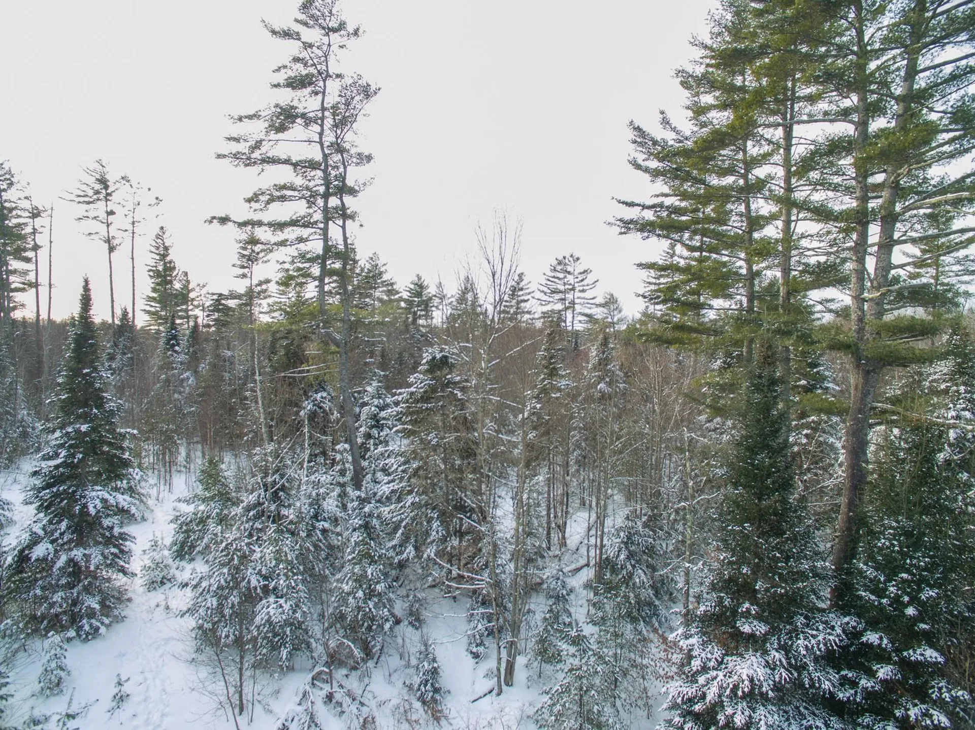 0 Vt Route 100 Londonderry VT 05148