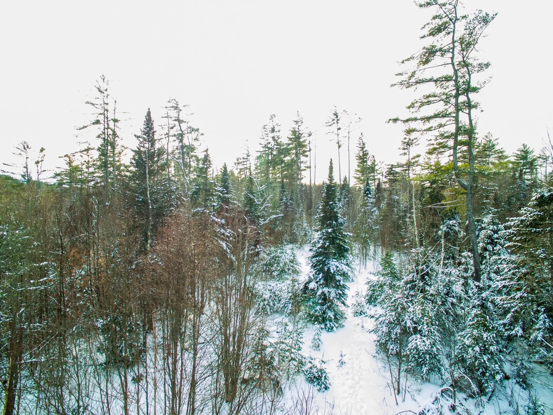 0 Vt Route 100 Londonderry VT 05148