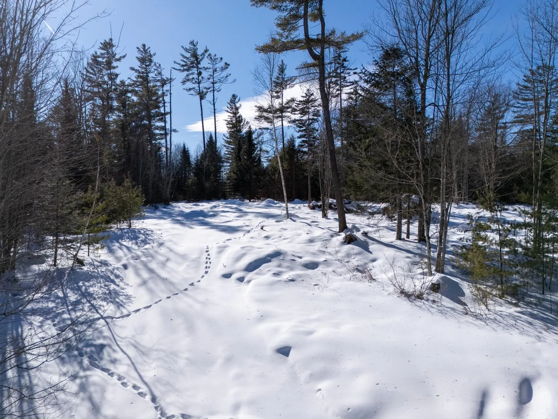 0 Vt Route 100 Londonderry VT 05148