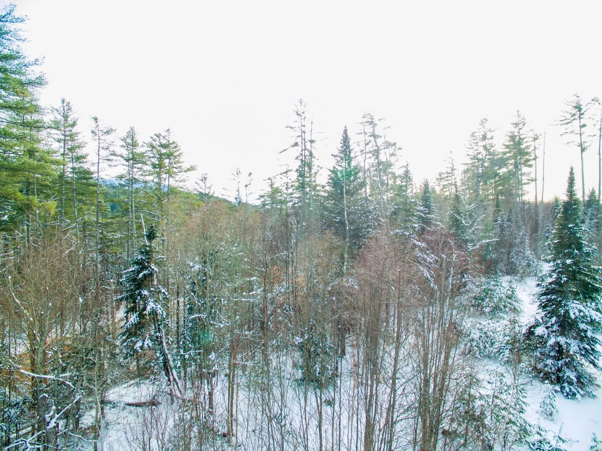 0 Vt Route 100 Londonderry VT 05148