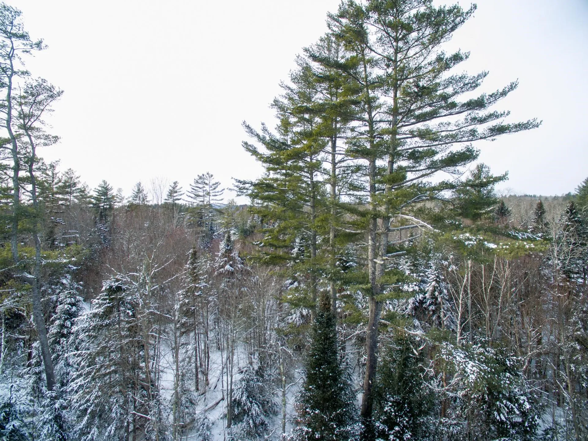 0 Vt Route 100 Londonderry VT 05148