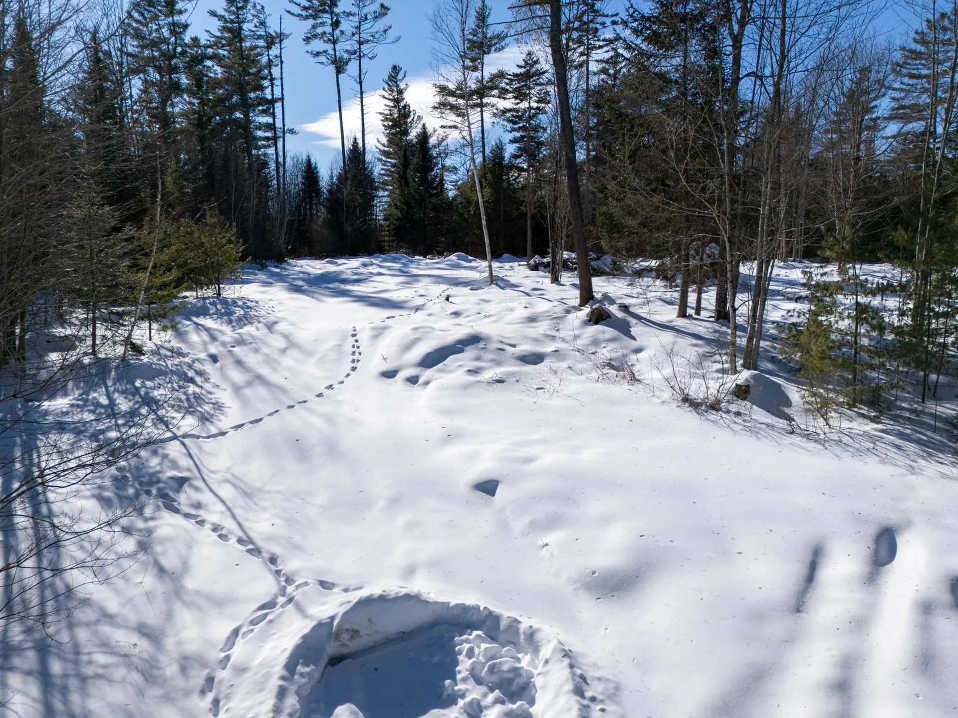 0 Vt Route 100 Londonderry VT 05148