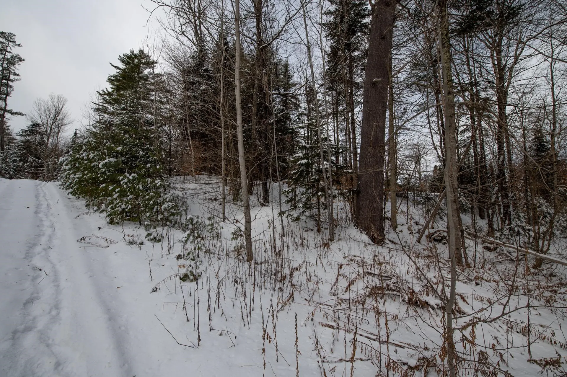 0 Vt Route 100 Londonderry VT 05148