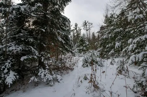 0 Vt Route 100 Londonderry VT 05148