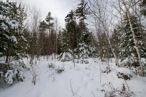 0 Vt Route 100 Londonderry VT 05148